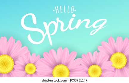 Hello spring phrase. Seasonal background. Pink camomiles flowers on a blue background. Vector illustration. EPS 10