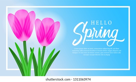 Hello Spring with pink fresh tulip bouquet flower with bright blue sky background. Vector illustration.