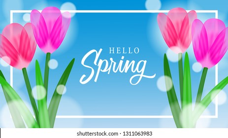 Hello Spring with pink fresh tulip bouquet flower with bright blue sky background. Vector illustration.
