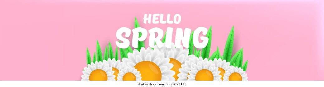 Hello spring pink horizontal banner with text and flowers on soft pink background with pink clouds. hello spring slogan or label isolated on pink background. Springtime banner and header