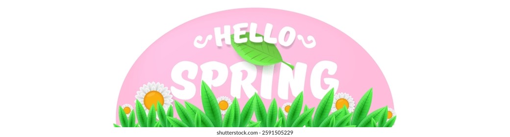 Hello spring pink and white horizontal banner with text and flowers. hello spring slogan or label isolated on pink background. Springtime banner, corner , sticker and header