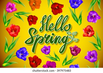 Hello Spring Poster Design  Vector Illustration  art