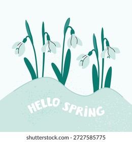 Hallo Frühlingsplakat mit Schneetropfen. Nette Komposition mit blühenden Blumen, handgeschrieben. Blau, grün. Hintergrund mit körniger Textur. Flache Vektorgrafik zur Verwendung in Karte, Bannervorlage.