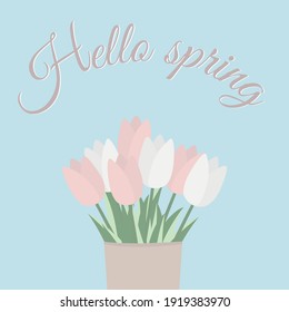 Hello spring poster with tulips in a vase. Good for internet, posters or greeting cards.