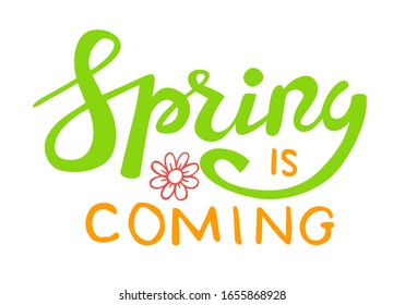 Hello Spring quote hand drawn calligraphy with brush pen lettering. Vector illustration