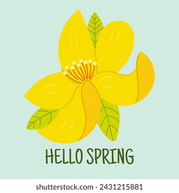 Hello spring quotes. Floral springtime hand drawn prints design. Positive phrases for stickers, postcards or posters