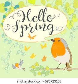 Hello spring with robin. Cartoon bird. Hand letter. Vector illustration