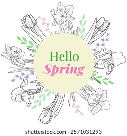 Hello Spring round frame, border with outline tulip, daffodil, iris flowers, vector illustration. Spring floral banner, poster, card design template.