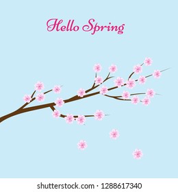 Hello spring sakura blossom flowers background. Vector illustration