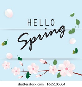Hello spring with sakura flower on blue sky strip background,vector illustration.