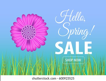 Hello spring sale banner. Vector illustration for your design EPS10