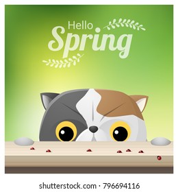 Hello Spring season background with a cat looking at ladybugs , vector , illustration