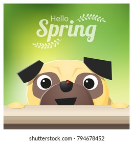 Hello Spring season background with pug dog looking at a red ladybug , vector , illustration
