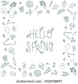 Hola signo de primavera con marco de verduras verdes. Letra manuscrita fresca con hojas. Ilustración de material vectorial aislada en fondo blanco.