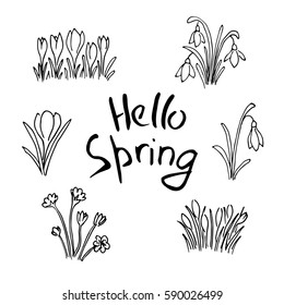Hello Spring sketch set. Flowers and Lettering. Cute lilac flowers, snowdrops, crocus, tulips, sketch. Hand drawn. Brush pen. For Poster, Advertising, postcards, prints, textile, decoration, blog