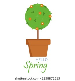 Hello spring. Square card or banner with tree in pot. Vector illustration.
