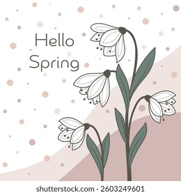 Hello Spring. Square card with white flowers and pink dots.