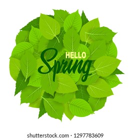 Hello spring. Template with beautiful fresh green leaves. Isolated on white background. For creativity, banner, postcards. Vector illustration. EPS 10.