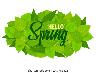 Hello spring. Template with beautiful fresh green leaves. Isolated on white background. For creativity, banner, postcards. Vector illustration. EPS 10.