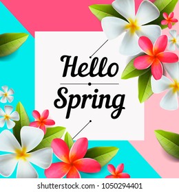 Hello spring text banner, greetings design with colorful flower elements in colorful background for spring season, vector illustration.