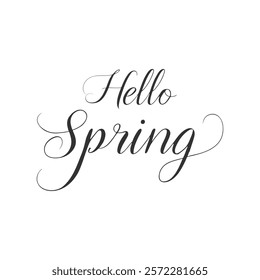 Hello Spring text hand drawn lettering, inscription, calligraphy element design , isolated on white background. Vector illustration