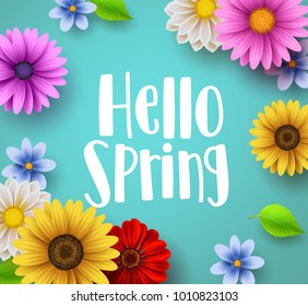 Hello spring text vector banner greetings design with colorful flower elements like daisy and sunflower in green floral background for spring season. Vector illustration.