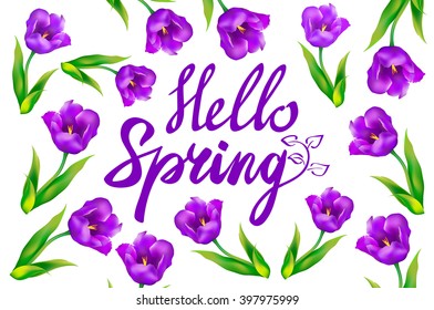 Hello Spring text with violet tulip flowers and butterflies art