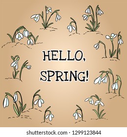 Hello spring text in wreath of snowdrops ornament. Beginning of spring