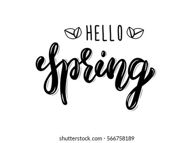 Hello Spring. Trendy hand lettering quote, fashion graphics, art print for posters and greeting cards design. Calligraphic isolated quote in black ink. Vector illustration