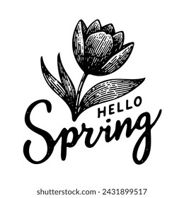 Hola primavera con una ilustración de póster simple de flor de tulipán