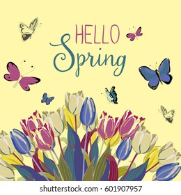 Hello Spring. Tulips with butterflies flying around. vector illustration on yellow background