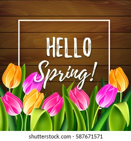 Hello spring tulips flowers background with lettering and white frame. Template for greeting card with tulip bouquet, pink and yellow flowers on wooden background. Vector illustration EPS10.