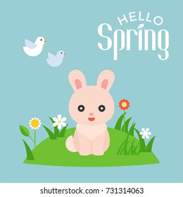hello spring typography with illustration of cute rabbit character on meadow and flying birds , flat design vector