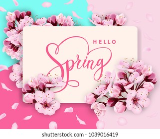 Hello spring vector banner design with flowers Cherry and frame. Spring sale with Cherry blossoms background.