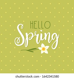 hello spring vector composition with daffodil