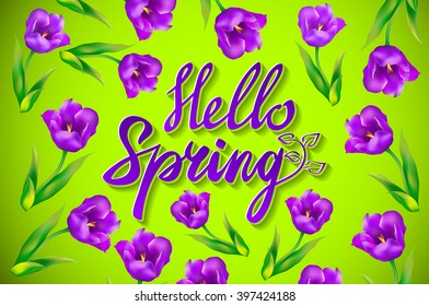 Hello Spring Vector Design with 3D Realistic Fresh Plants and Flowers Elements for Spring Season. Vector Illustration art