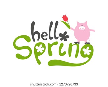 Hello spring - vector green hand writing motivation quote with clover leaf and pink pig with red tulip flower on white background. Calligraphic text for season poster or banner