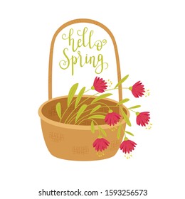 Hello Spring vector illustration. Basket with flowers on light background. Hand lettering "Hello Spring". Spring greeting card with calligraphy
