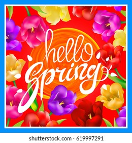 Hello Spring. Vector illustration with bright colorful tulips. A circle orange sun. post card. hand Lettering. red background