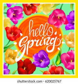 Hello Spring. Vector illustration with bright colorful tulips. A circle orange sun. post card. hand Lettering. green background art