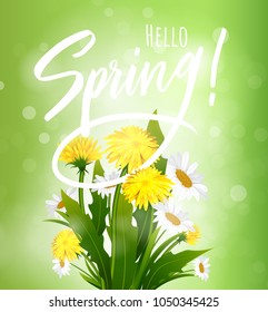 Hello spring. Vector illustration with dandelions and chamomiles