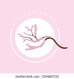 hello spring vector illustration design