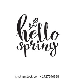 Hello Spring vector illustration with hand lettering text and a flower on the white blackground. For greeting card, print, poster.