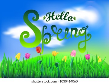 Hello spring vector illustration of a realistic landscape, grass and tulips