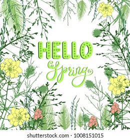 Hello spring vector lettering. Green handwritten typography phrase with floral frame from wild meadow grass and flowers. Light artistic background on forest theme.