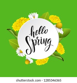 Hello spring vector lettering in white round banner.Dandelions and daisy flowers. Hand written design element for card, poster. Modern calligraphy for spring design.  Floral design elements.