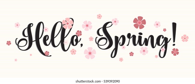Hello, Spring vector phrase with pink sakura flowers on wide bright background. Tiny vector pink flowers over calligraphic script quote. 