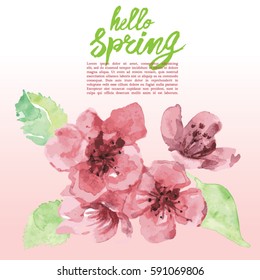 Hello Spring watercolor blooming blossom
Spring greeting card with text" hello Spring" written by hand with a brush located
At the bottom of the design are beautifully painted with watercolors petals 