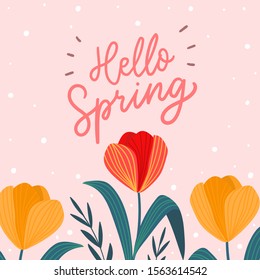 Hello spring words with tulips flowers for print, card, poster. Seasonal spring background template.