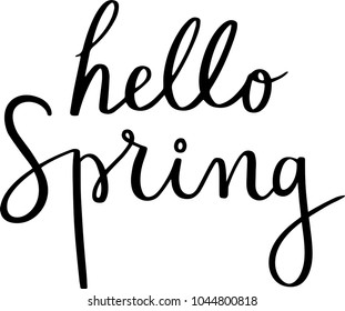 Hello Spring,Hand drawn lettering vector art